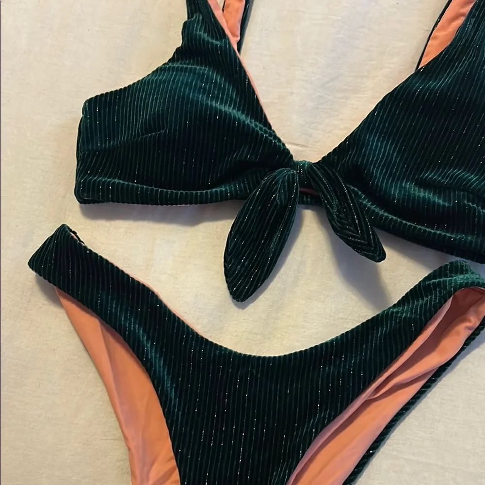 Frankies Bikinis dive into